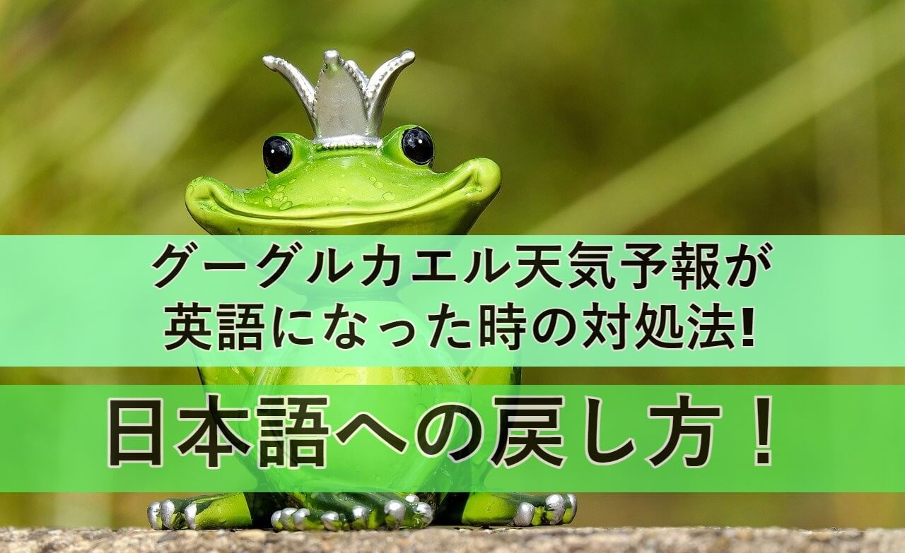 google-frog-weather eyecatch